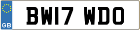 Truck License Plate
